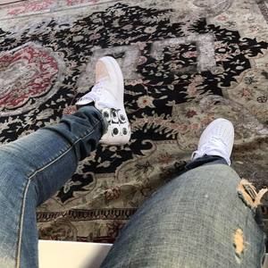 Meet your Posher, Steven